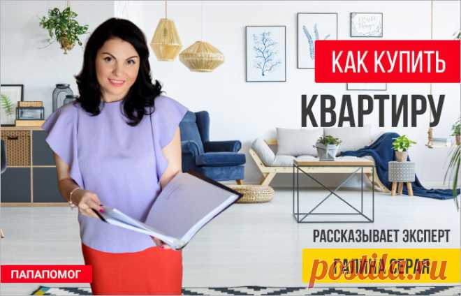 Как купить квартиру без риелтора – практические шаги. | ПАПАПОМОГ | Яндекс Дзен