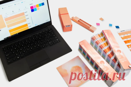 Pantone назвал персиковый главным цветом 2024 года. Выбранный оттенок носит название Peach Fuzz - персиковый пушок.
