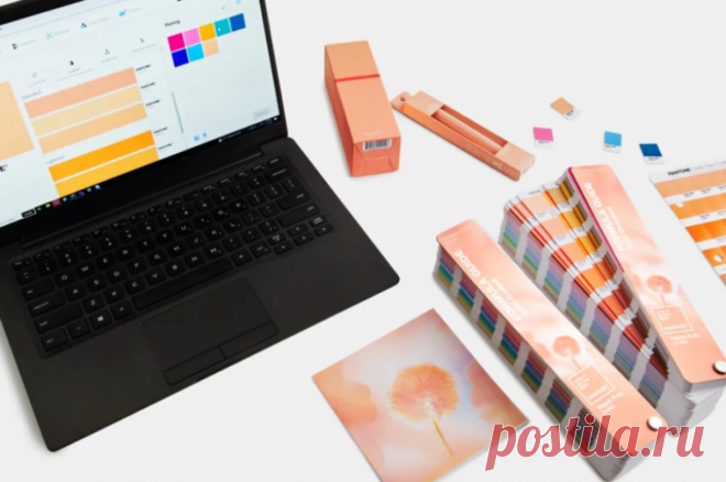 Pantone назвал персиковый главным цветом 2024 года. Выбранный оттенок носит название Peach Fuzz - персиковый пушок.