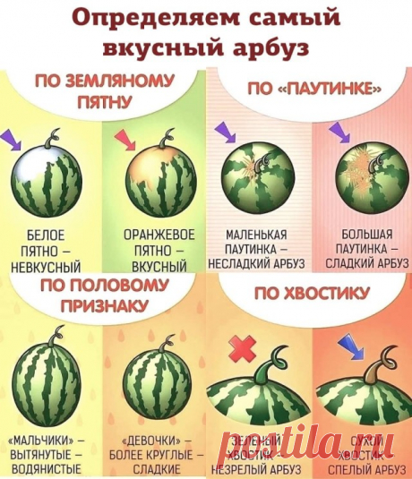 Как выбрать арбуз? 10 проверенных лайфхаков. Покупаем арбузы правильно!