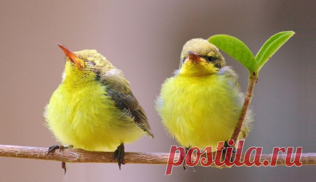 Home / Twitter
