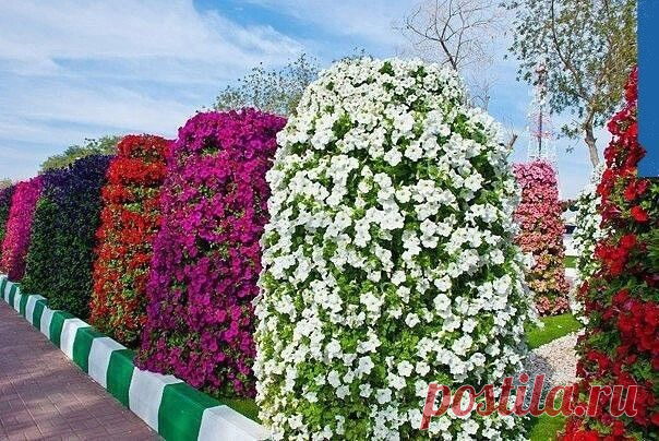 Шикарная вертикальная клумба
