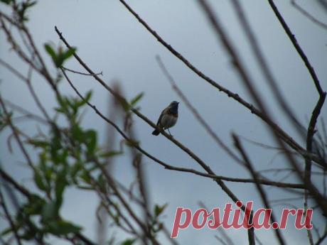 Василий Тимошин vasiliy-timoshin - Москва, Россия, 61 год на Мой Мир@Mail.ru