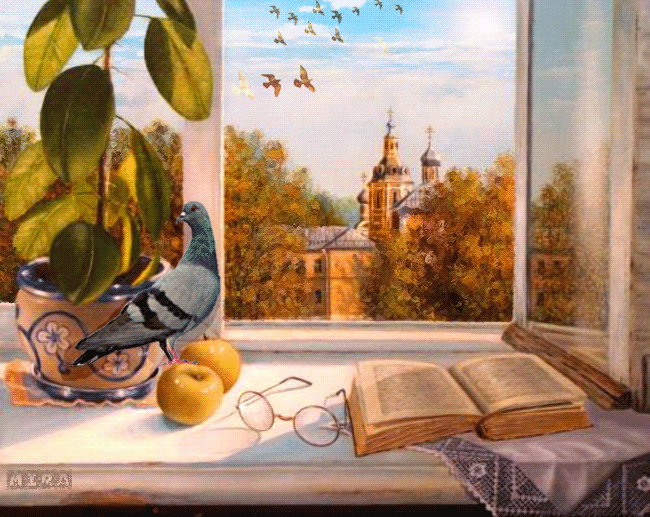Вид из окна.