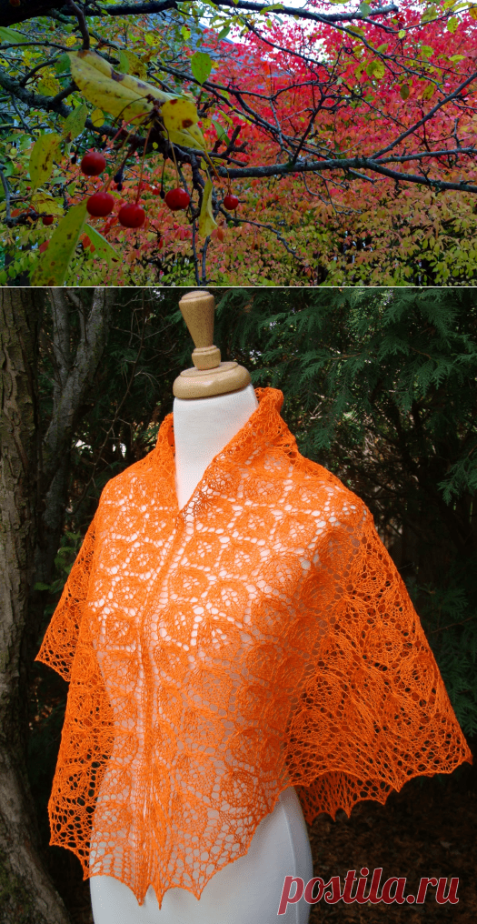 Tilia Shawl (Шаль)