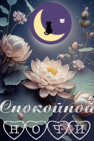 Спокойной ночи