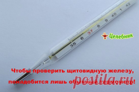 Чтобы проверить щитовидную железу, понадобится лишь обычный термометр!
Американский ученый и врач Брода Отто Барнс в ходе своих исследований в области эндокринологии обнаружил, что температура тела человека — превосходный показатель работы щитовидной железы.
Как проверить щитовидную железуИтак, чтобы определить , достаточно иметь лишь обычный термометр.
С вечера приготовь термометр, показатель температуры на нём должен быть не выше 35 градусов.
Сразу после пробуждения помести термометр в