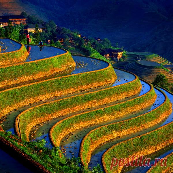 Новые фотографии природа.