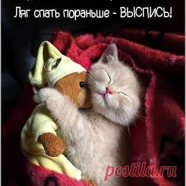 Photo by Natalia Elkhova on March 12, 2020. Image may contain: cat, text that says 'будь как все, иди против системы! ляг спать пораньше выспись!'