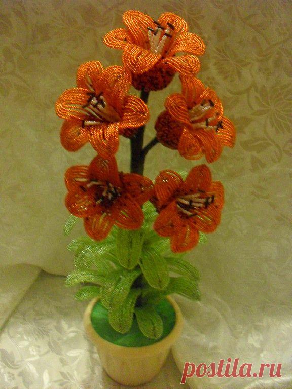 Мелодия бисера.
Екатерина Прибытко(Шурцова)