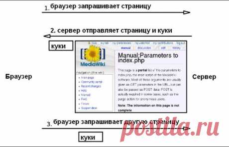 Что такое куки и нужно ли их удалять