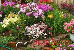 (+1) тема - Цветник в июле | ОГОРОД БЕЗ ХЛОПОТ