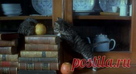 Носферату: Призрак ночи (1979)