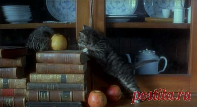 Носферату: Призрак ночи (1979)