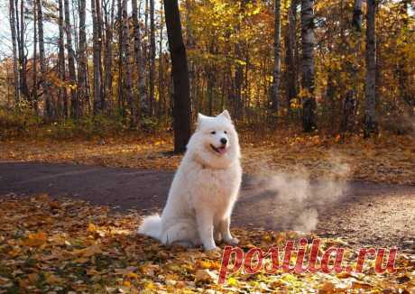 Прощай осень 2014