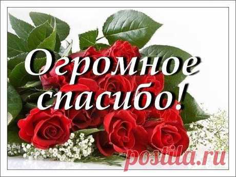 image (Изображение JPEG, 600 × 450 пикселов)