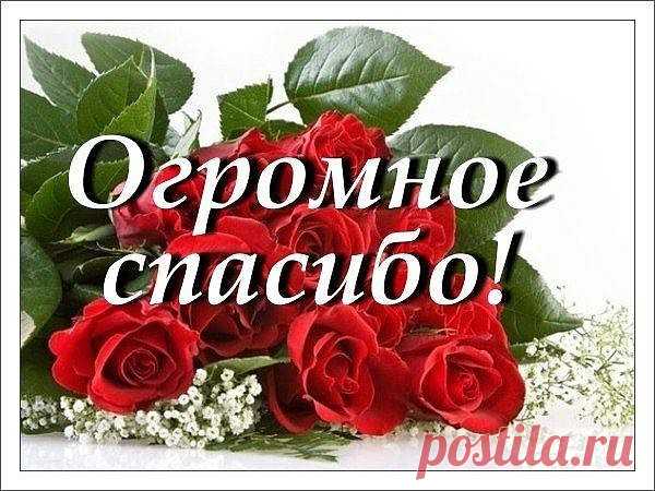 image (Изображение JPEG, 600 × 450 пикселов)
