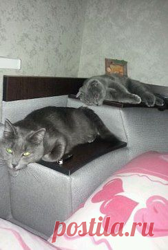 Одноклассники