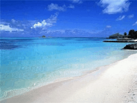 s-12459.gif (400×300)