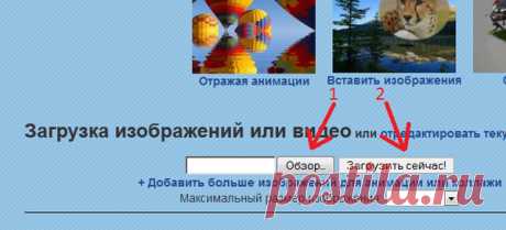 Обсуждения - Блог. Иришка! - Группы Мой Мир