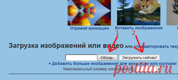 Обсуждения - Блог. Иришка! - Группы Мой Мир