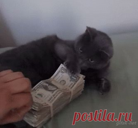 (64) Одноклассники
