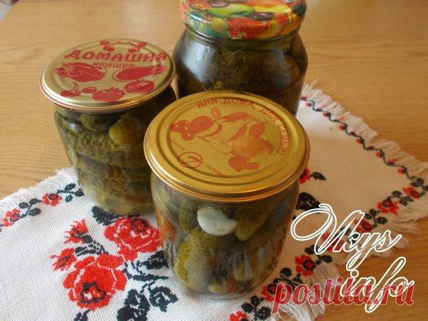 Маринованные огурцы по-болгарски на зиму