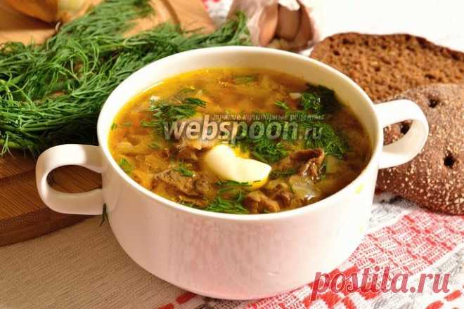 Щи с курицей и лесными грибами рецепт с фото, как приготовить на Webspoon.ru