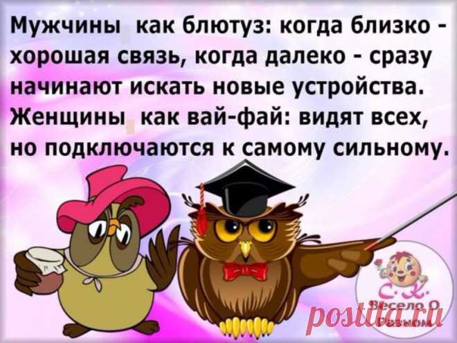 (3) Facebook