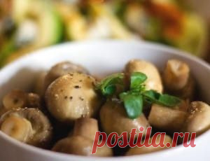 Как солить белянки грибы с фото - рецепты кулинарии