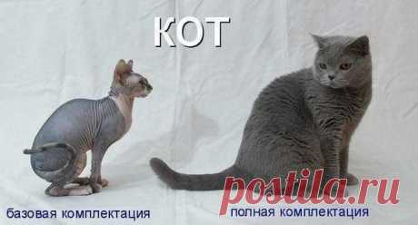Мой Мир@Mail.Ru