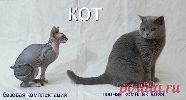 Мой Мир@Mail.Ru