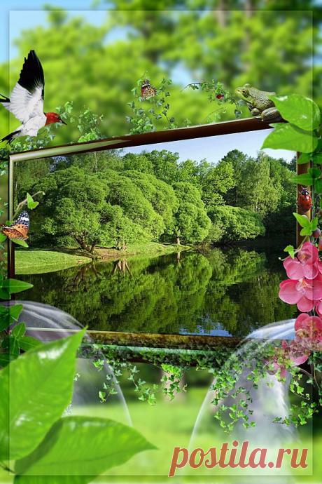 Это - мой мир! Как он красив и светел!