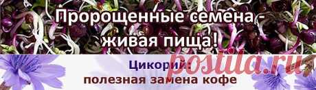 Лецитин / Lecithin Extra Strength