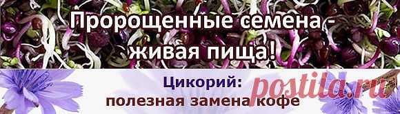 Кожа, волосы, ногти: здоровье - Ортомолекулярный подход к здоровью кожи, волос, ногтей: витамины, пробиотики / пребиотики, функции иммунной системы, рост кожи, волос, ногтей, детоксикация, шлаки, токсины,
ЧИТАТЬ ПО ССЫЛКЕ
Nature's Sunshine Products - 100 капсул по 410 мг - Цена 950 руб.
Биодобавка
