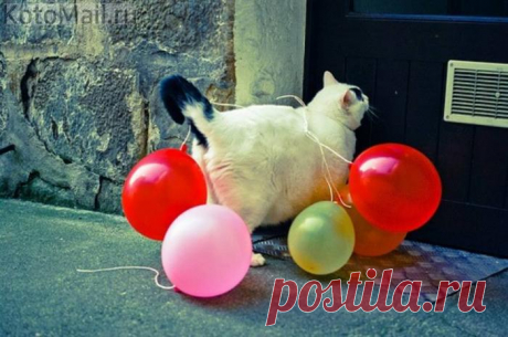 Романтик)