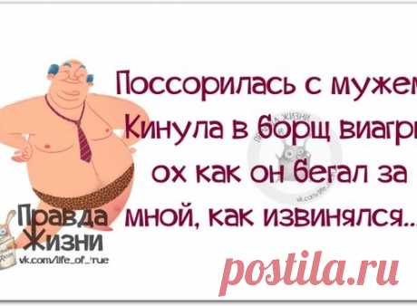 Позитивные фразочки в прикольных картинках