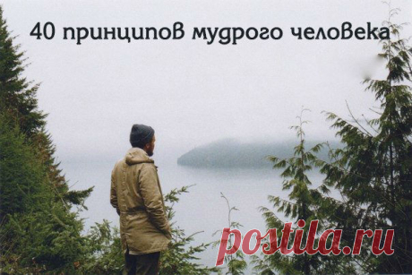 40 принципов мудрого человека 

1. Хочешь жить спокойно — не оказывай благодеяний, когда тебя об этом не просят. Иначе станешь избавителем и попадешь в треугольник судьбы... 

Подписывайтесь на "Будда с Маслоу" и читайте продолжение в прикрепленной странице под картинкой!