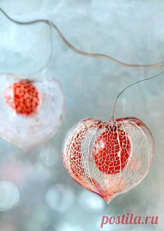 Pinterest