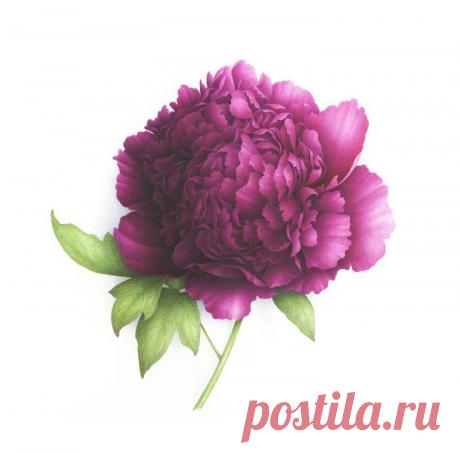 Найдено на сайте madamkartinki.blogspot.gr.