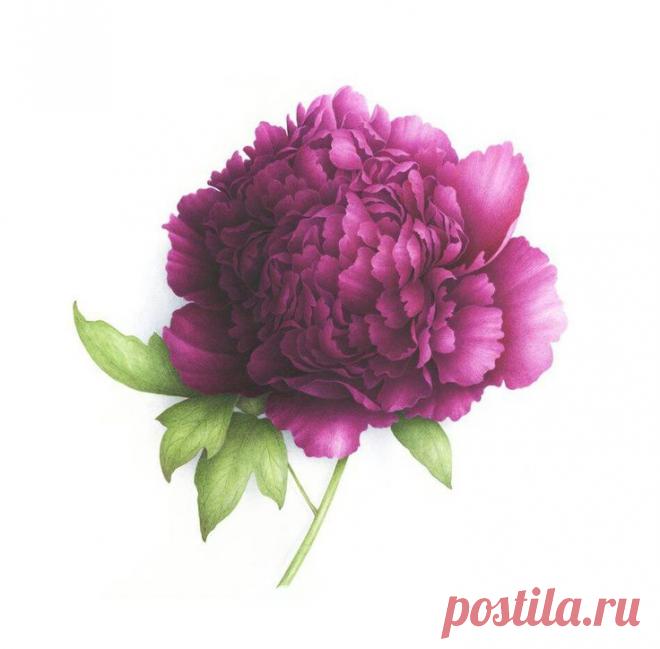 Найдено на сайте madamkartinki.blogspot.gr.