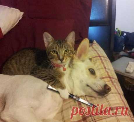 -Не теряй бдительности!