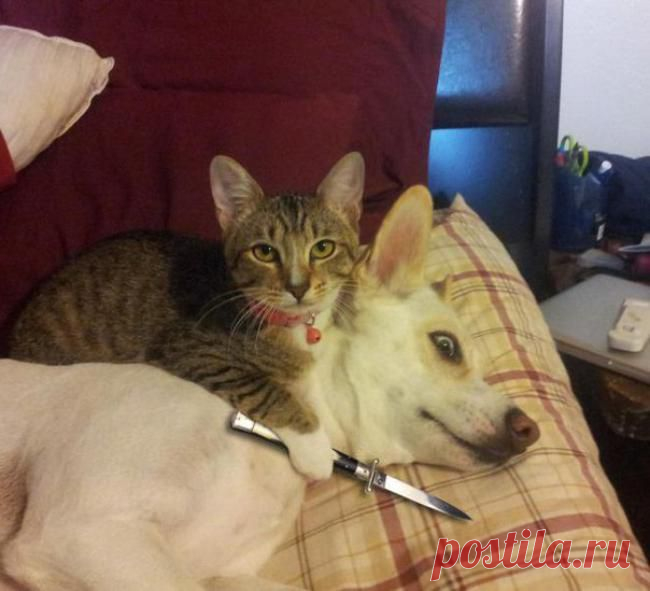 -Не теряй бдительности!