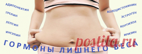Гормоны, не дающие похудеть, несмотря на все ваши усилия по снижению веса | Для себя любимых и близких - забота о здоровье и красоте