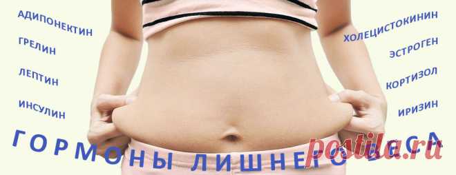 Гормоны, не дающие похудеть, несмотря на все ваши усилия по снижению веса | Для себя любимых и близких - забота о здоровье и красоте
