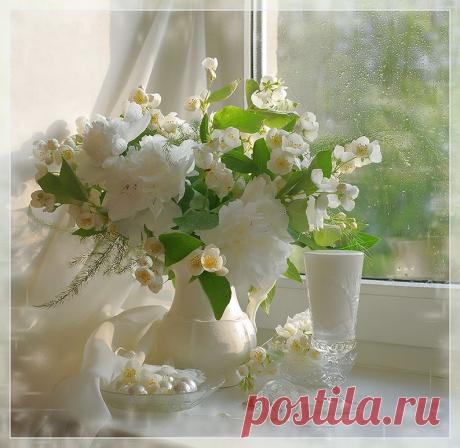 Изысканные фотонатюрморты