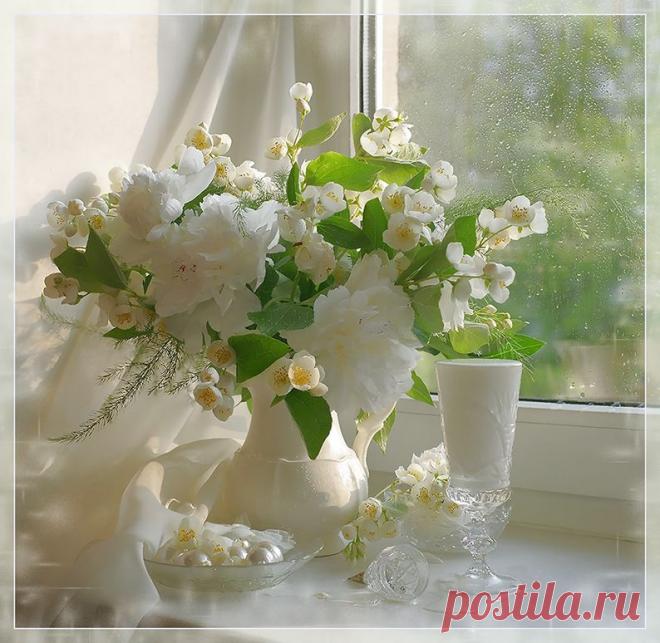 Изысканные фотонатюрморты