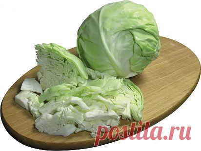 А что вы делаете с поздней белокачанной капустой? |