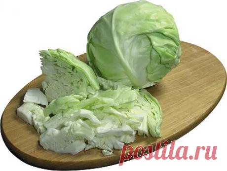 А что вы делаете с поздней белокачанной капустой? |