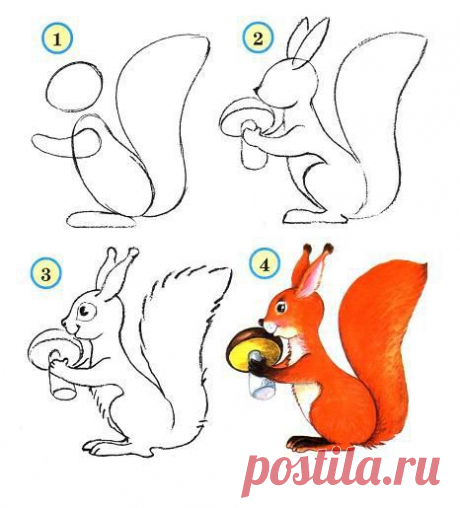 Белочка - рисунок для детей, поэтапный метод рисования / Уроки рисования карандашом для начинающих - как научиться рисовать, учимся вместе / Ёжка - стихи, загадки, творчество и уроки рисования для детей